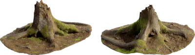 mossy stump 001 — Скачать