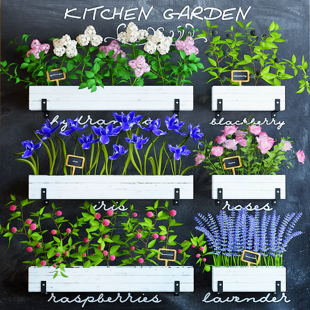 Kitchen garden 5 — Descargar