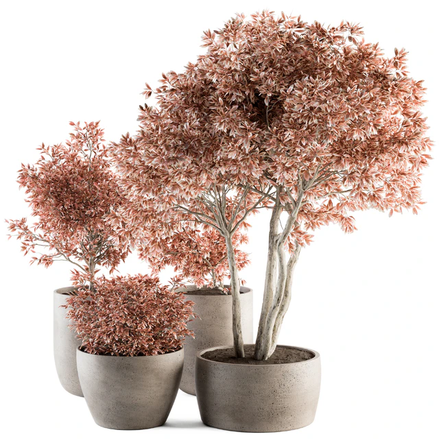 Outdoor Plant Set 359 - Pink Plant Set in Concrete Pot — Descargar