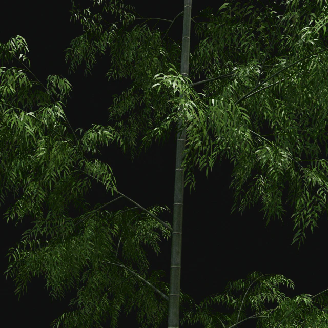Bamboo Trees — Descargar