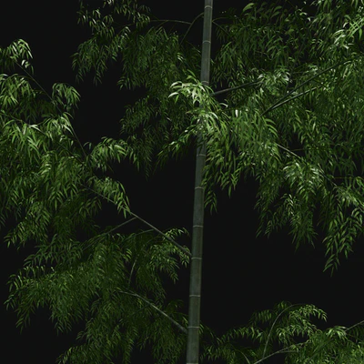 Bamboo Trees — Ver 3