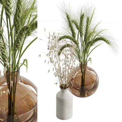 Dry plant set 02 — Ver 1