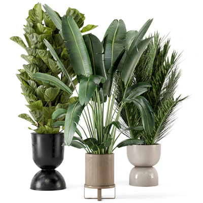 Indoor Plants in Ferm Living Bau Pot Large - Set 273 — Ver 1