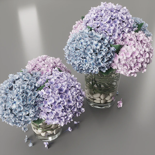Hydrangea purple blue — Download