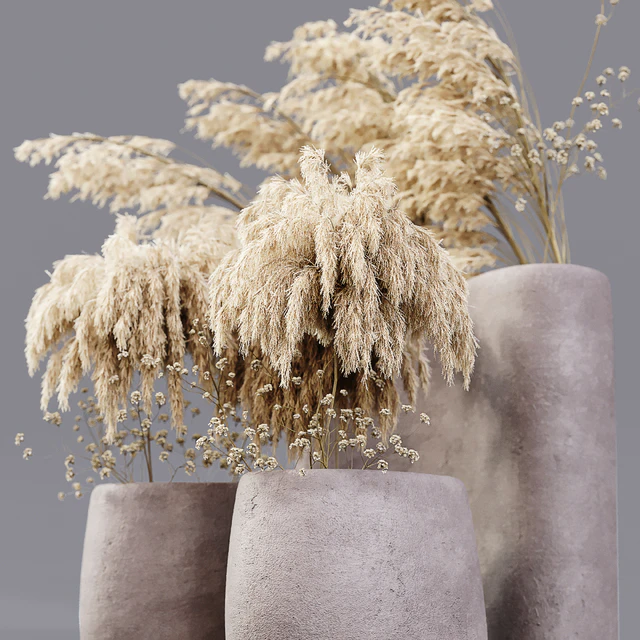 Dry Plants — Скачать
