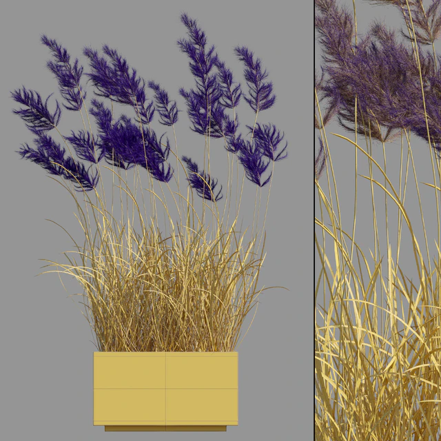 pampas grass 3 — Descargar
