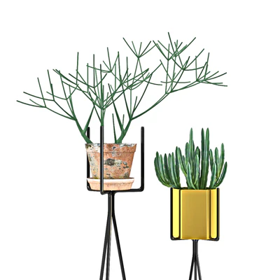 Shelf with Plants — Вид 2