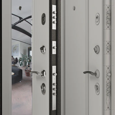Entrance door Torex Series Delta-100 SP-7G, DM — Ver 2