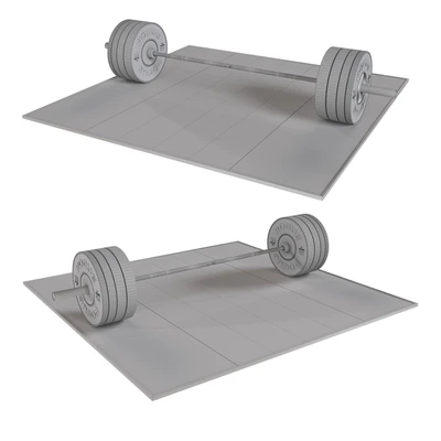 Rogue Operator Bar 3.0 vs plates — View 2