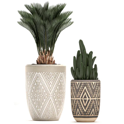 Collection of small plants in ethnic aged pots with Cactus, Date palm, flower. Set 476. — Ver 5
