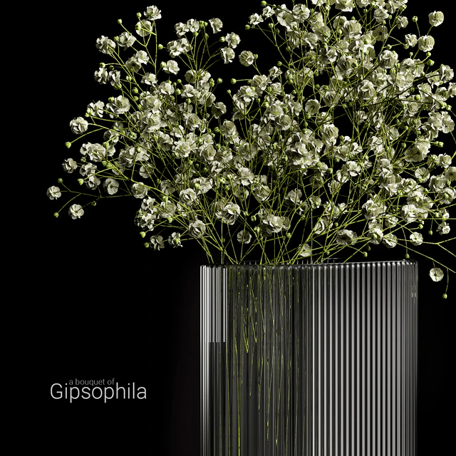 A bouquet of gypsophila — Скачать