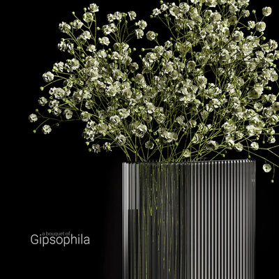 A bouquet of gypsophila — Вид 4