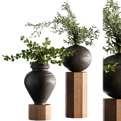 Indoor Plant Set 65 — Вид 1