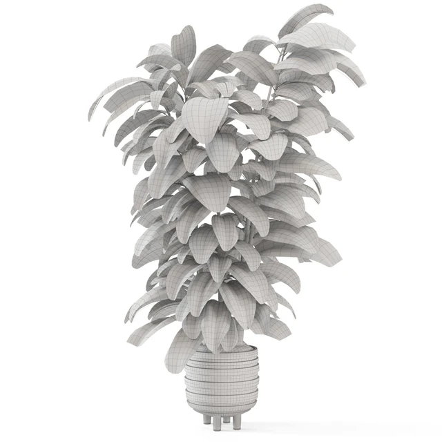Indoor Plants In Concrete Pots - Set 953 — Скачать