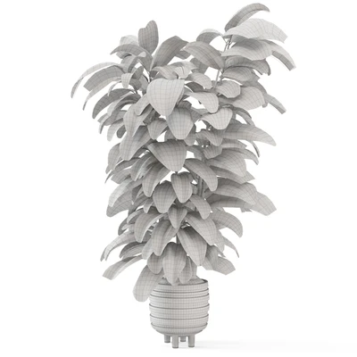 Indoor Plants In Concrete Pots - Set 953 — Вид 4