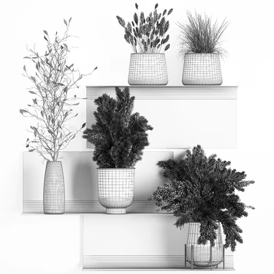 A set of bouquets of dried flowers in vases on a black metal shelf made of Pampas branches, reeds. 119 — Ver 3