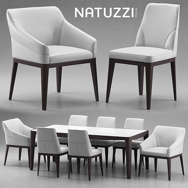Table and chairs Natuzzi minerva, Saturno, Vesta — Descargar