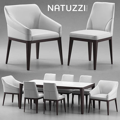 Table and chairs Natuzzi minerva, Saturno, Vesta — Ver 1