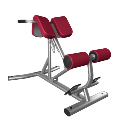 Lifefitness Signature Series Back Extension — View 2