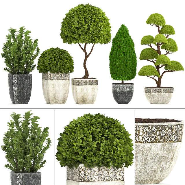 Plant collection 239. Garden plants, landscape design, classic flowerpot, trees, topiary, boxwood — Descargar