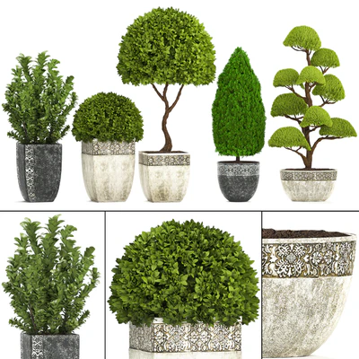 Plant collection 239. Garden plants, landscape design, classic flowerpot, trees, topiary, boxwood — Ver 1