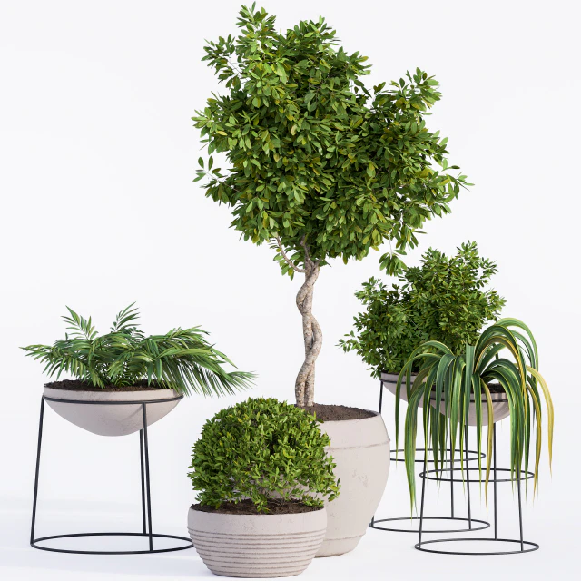 Outdoor Plants Full Set — Download