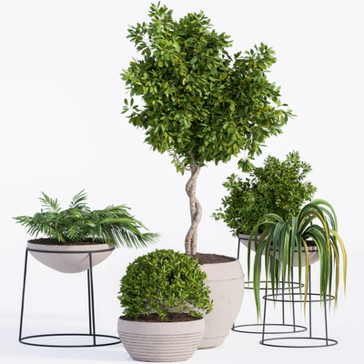 Outdoor Plants Full Set — View 3