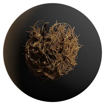 pine debris 004 — Descargar