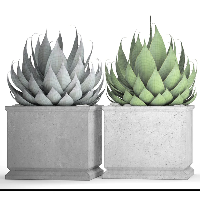 A collection of plants in pots. Agave, flower, pot, outdoor, concrete flowerpot — Descargar
