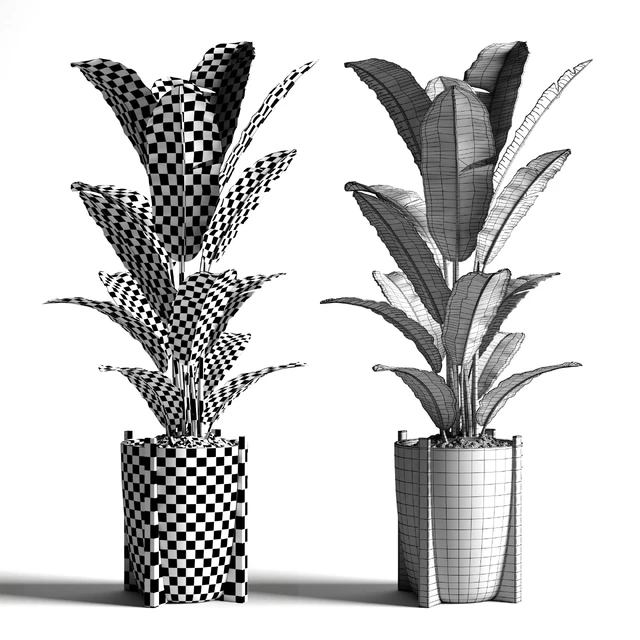Banana tree 2 — Скачать
