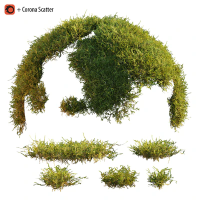 Forest moss — Ver 1