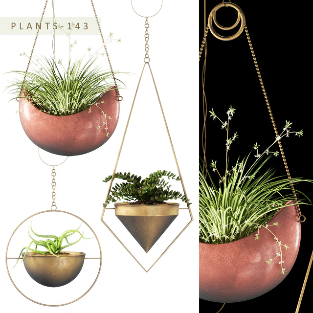 PLANTS 143 — Descargar