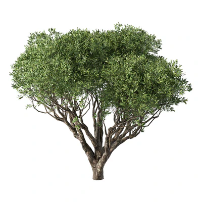 Tree No.89 — Ver 1