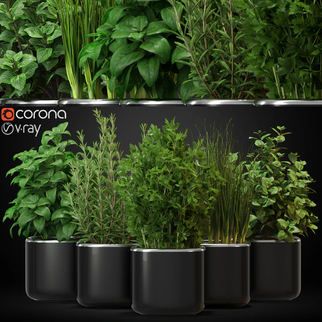 Plants collection 261 — Download