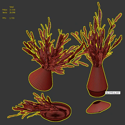 Bouquet Greville Ivanhoe — Ver 5
