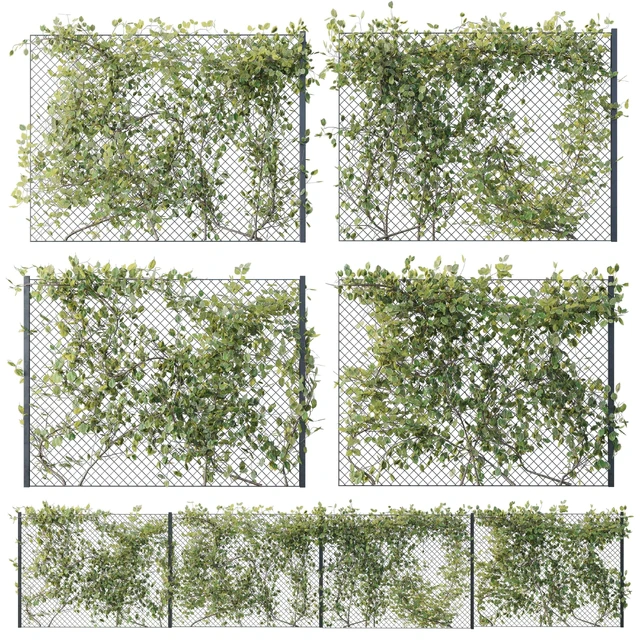 Ivy on Fence 02 — Скачать