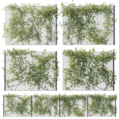 Ivy on Fence 02 — Вид 1