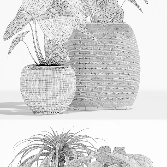 Plants collection 137 — Descargar