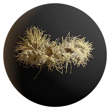 dry grass 005 — Скачать