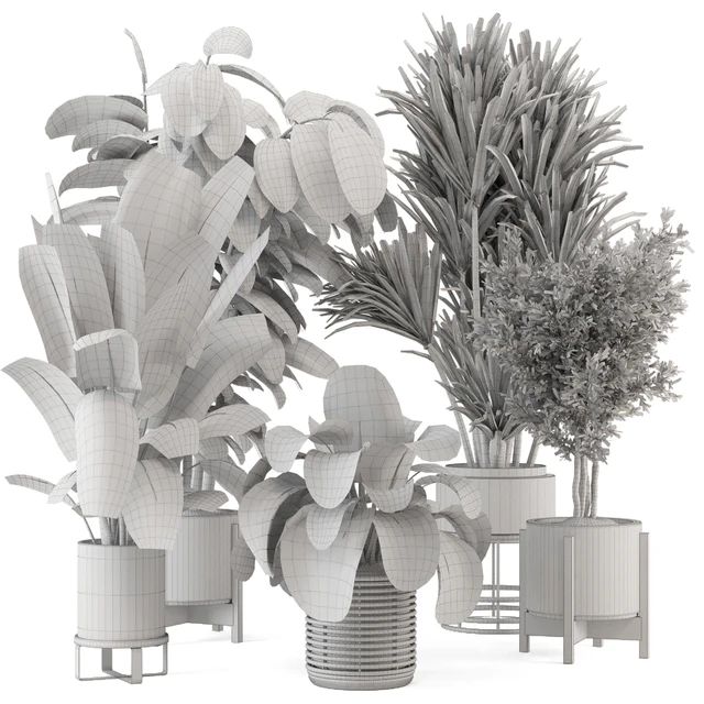 Indoor Plants in Ferm Living Bau Pot Large - Set 1328 — Descargar