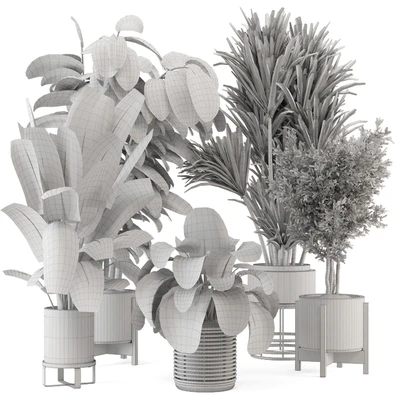 Indoor Plants in Ferm Living Bau Pot Large - Set 1328 — Ver 7