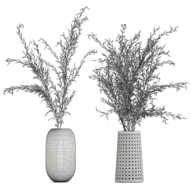 Bouquet of red branches of dried flowers in a glass vase with Goldenrod, Solidago. Set 153. — Descargar