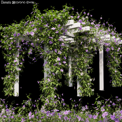 Clematis 03 — Скачать