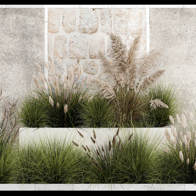 Collection of flowerbed plants and bushes with grass for landscaping, pampas grass, cortaderia and white reeds. 1126. — Descargar