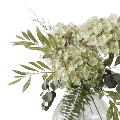 Green hydrangea — Ver 3