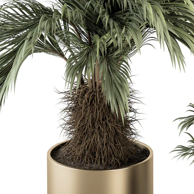 indoor Plant Set 256 - Plant Set in pot — Ver 4