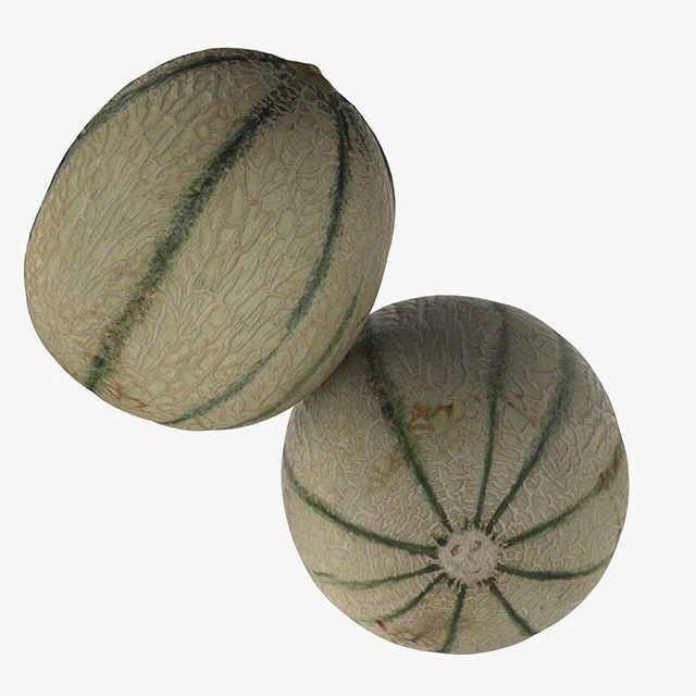 Melon — Descargar