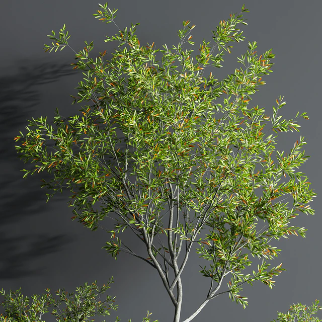 Indoor Set Plant 08 — Скачать