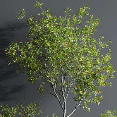 Indoor Set Plant 08 — Вид 4