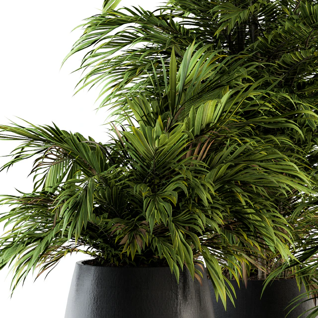 Indoor Plant Set 88 - Tropical — Descargar